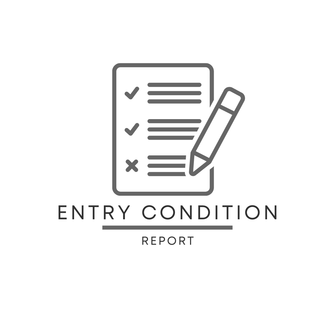 Form 1A – Entry Condition Report